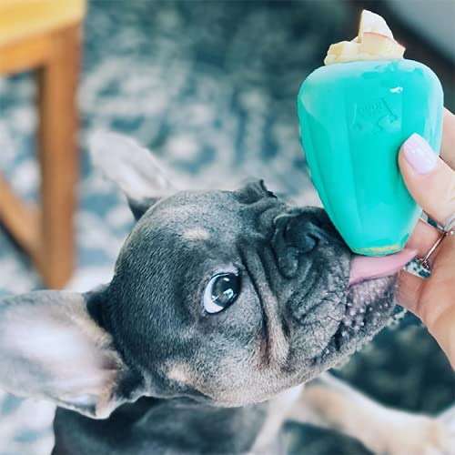 Chew King by Mammoth Premium Treat Dispensing Dog Toy, Durable Natural Rubber Chew Toy, Safety Air Vent, Interactive Enrichment Toy for Aggressive Chewers, Large Pack of 2- Teal - Image 12