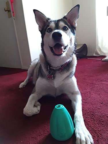 Chew King by Mammoth Premium Treat Dispensing Dog Toy, Durable Natural Rubber Chew Toy, Safety Air Vent, Interactive Enrichment Toy for Aggressive Chewers, Large Pack of 2- Teal - Image 13
