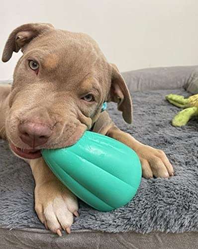 Chew King by Mammoth Premium Treat Dispensing Dog Toy, Durable Natural Rubber Chew Toy, Safety Air Vent, Interactive Enrichment Toy for Aggressive Chewers, Large Pack of 2- Teal - Image 9