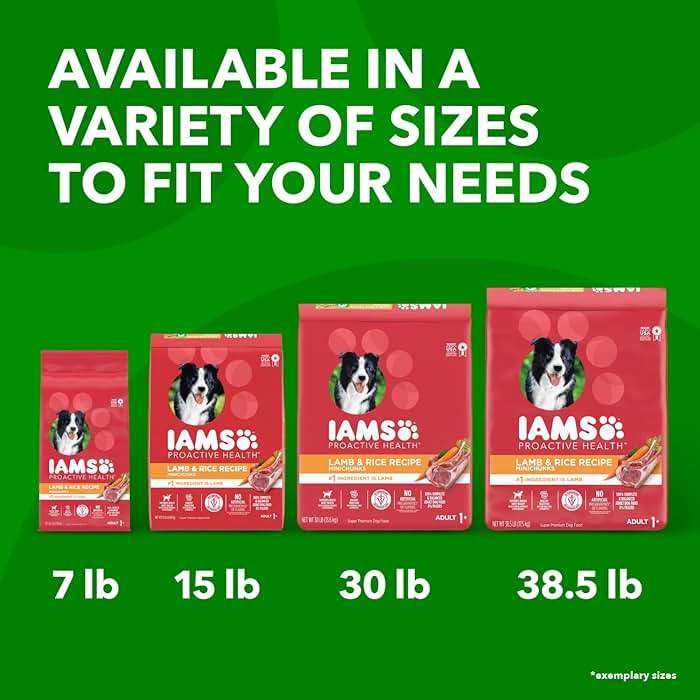 IAMS Proactive Health Dry Dog Food, Adult Dog Food Dry Recipe, Lamb & Rice, 30 lb. Bag - Image 12