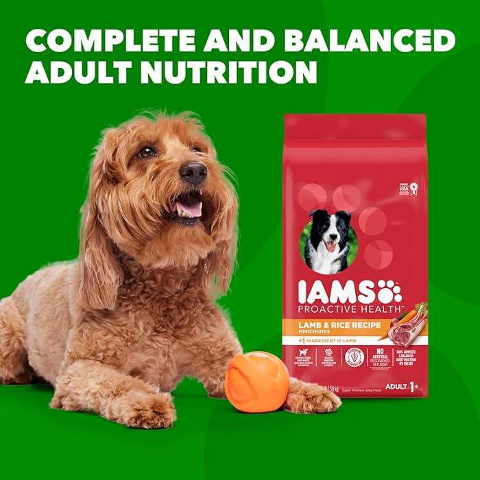 IAMS Proactive Health Dry Dog Food, Adult Dog Food Dry Recipe, Lamb & Rice, 30 lb. Bag - Image 13