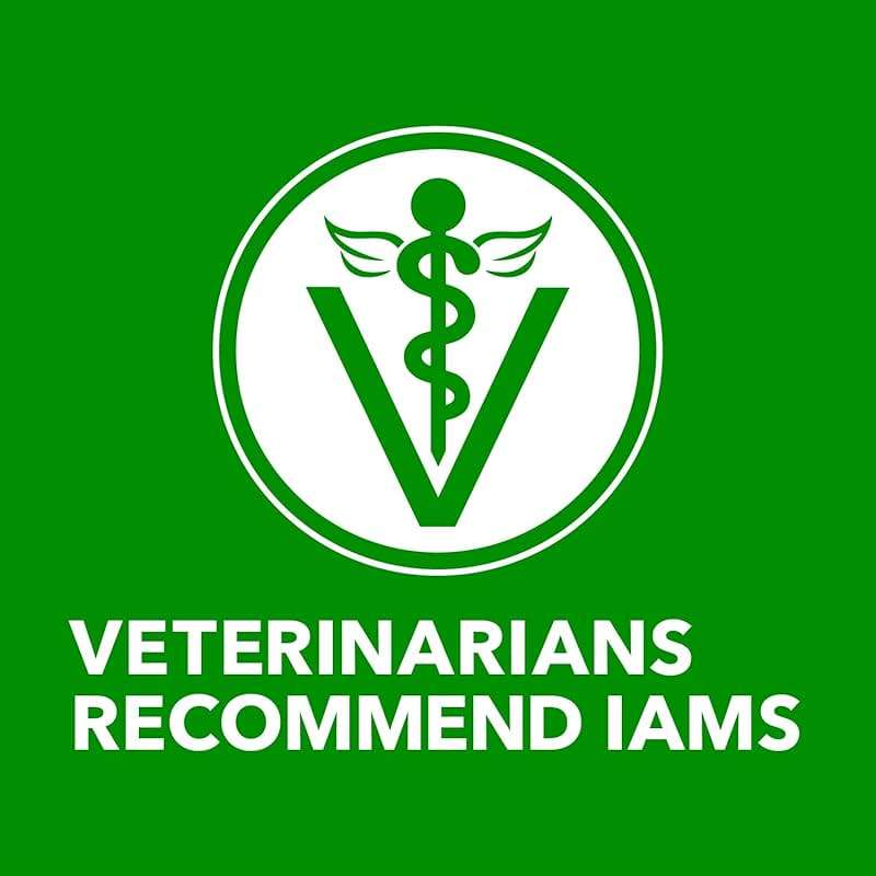 IAMS Proactive Health Dry Dog Food, Adult Dog Food Dry Recipe, Lamb & Rice, 30 lb. Bag - Image 14