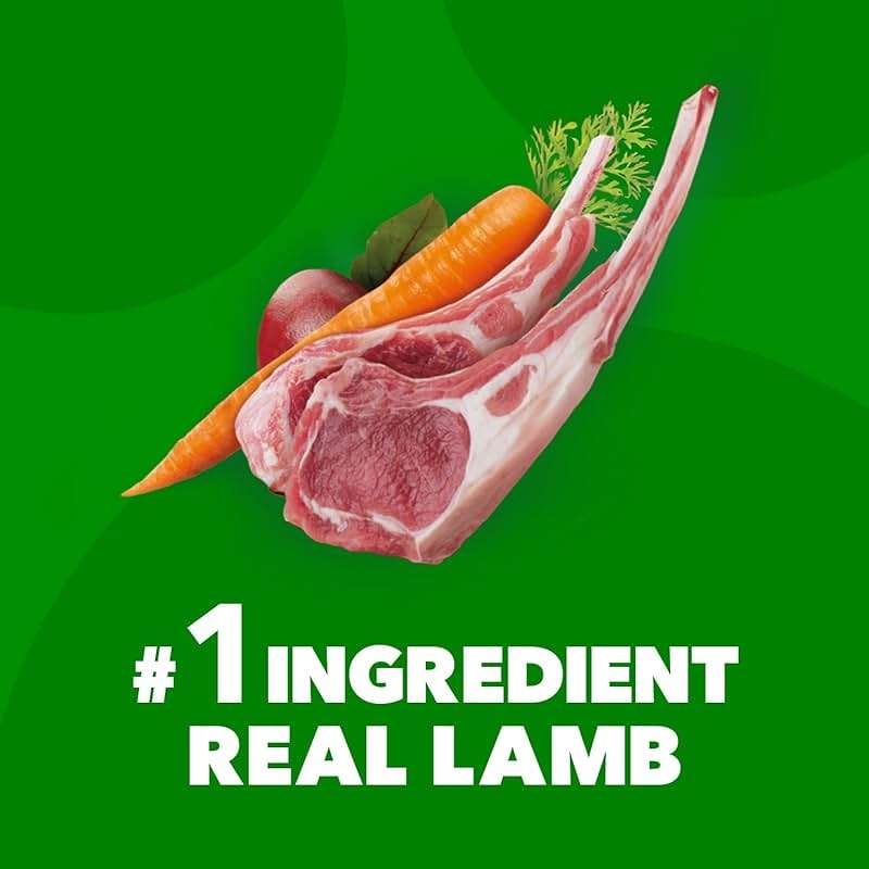 IAMS Proactive Health Dry Dog Food, Adult Dog Food Dry Recipe, Lamb & Rice, 30 lb. Bag - Image 3