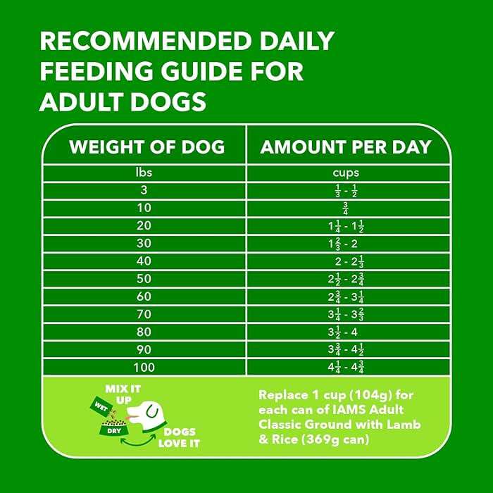IAMS Proactive Health Dry Dog Food, Adult Dog Food Dry Recipe, Lamb & Rice, 30 lb. Bag - Image 6