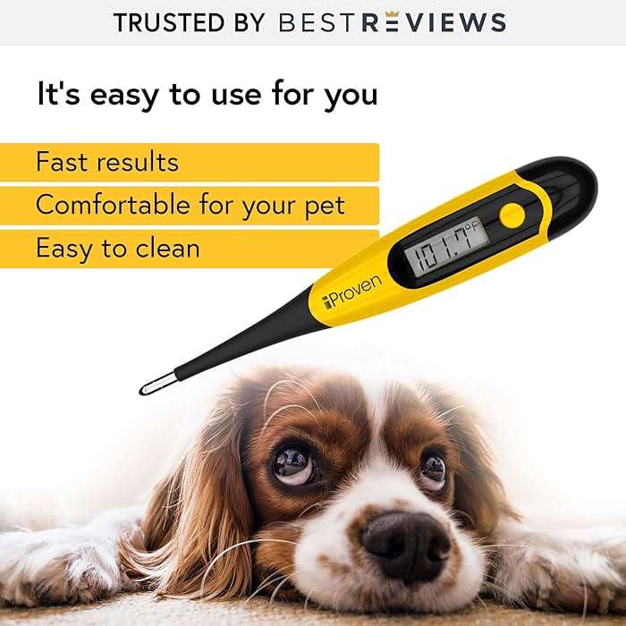 iProven Dog & Cat Thermometer for Accurate Fever Detection, Comfortable Flexible Tip, Waterproof Pet Thermometer, Fast Readings in 20 sec, Whelping and Veterinary Supply, DTK-117Y - Image 3