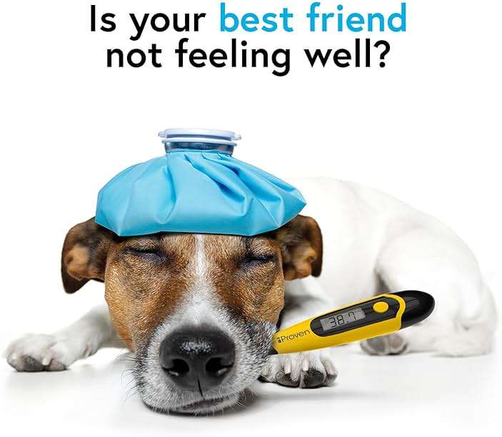 iProven Dog & Cat Thermometer for Accurate Fever Detection, Comfortable Flexible Tip, Waterproof Pet Thermometer, Fast Readings in 20 sec, Whelping and Veterinary Supply, DTK-117Y - Image 5