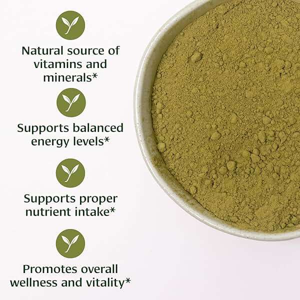 Banyan Botanicals Organic Moringa Powder – Moringa Oleifera – Superfood Powder and Natural Source of Vitamins & Minerals* – 1/2lb – Non-GMO Sustainably Sourced Vegan - Image 2