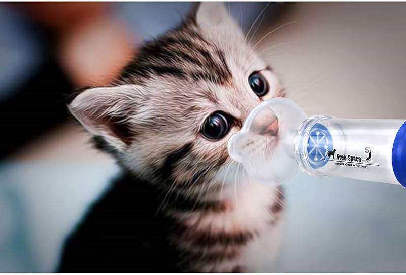 Free-Space Cat/Dog Inhaler Spacer,Feline/Cannie Aerosol Chamber Inhaler for Cats/Dogs,Come with 2 Size Mask and Instruction (Two Mask) - Image 7