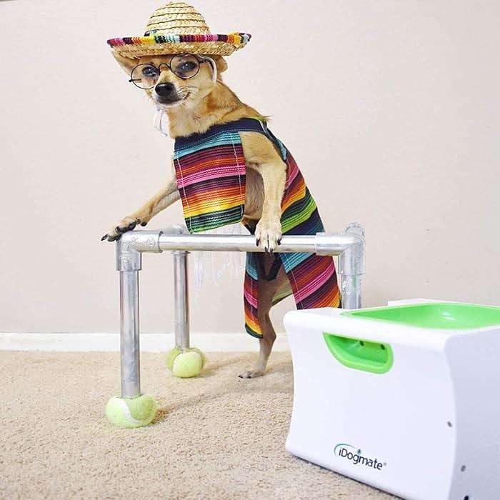 IDOGMATE Small Interactive Ball Launcher with Rechargeable, Automatic Dog Ball Thrower for Mini Dog (Small Machine with 3 Balls) - Image 2