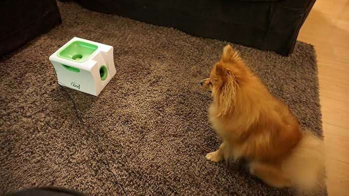 IDOGMATE Small Interactive Ball Launcher with Rechargeable, Automatic Dog Ball Thrower for Mini Dog (Small Machine with 3 Balls) - Image 5