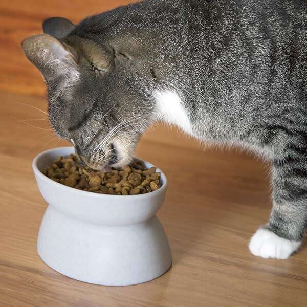 Kitty City Elevated Cat Bowls (Set of 2), Whisker-Friendly Raised Cat Food & Water Dishes, Modern Pedestal Design, Dishwasher Safe, 6.5 oz Each – White & Gray - Image 3