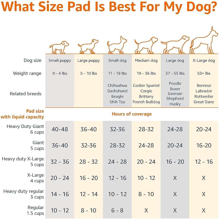 Amazon Basics Heavy Duty Dog and Puppy Pee Pads, Leak-Proof 5-Layer Super Absorbent, Quick-Dry Surface for Potty Training, Regular Size, 24x23", Blue & White, 50 Count - Image 4