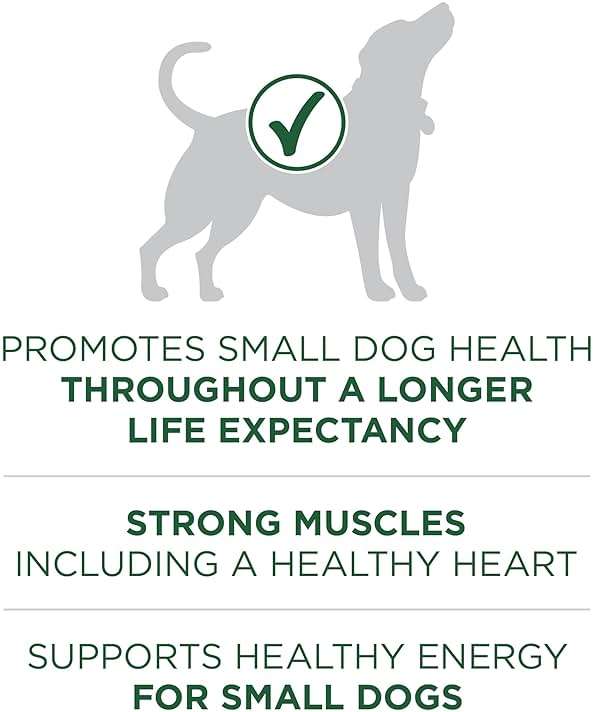 Purina One Small Breed Plus High-Protein Dog Food Lamb and Rice Formula Dry Dog Food - 7.4 lb. Bag - Image 4