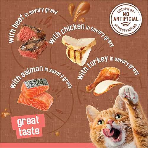 Purina Friskies Extra Gravy Wet Cat Food Chunky 24ct Variety Pack (With Chicken, Turkey, Salmon, Beef) - (Pack of 24) 5.5 oz. Cans - Image 3