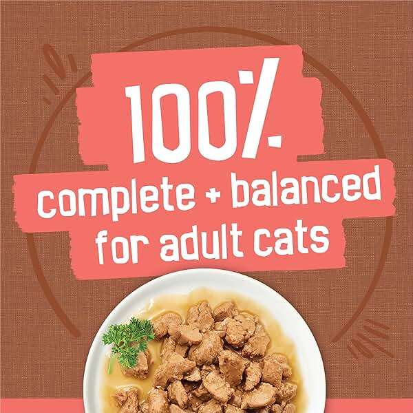 Purina Friskies Extra Gravy Wet Cat Food Chunky 24ct Variety Pack (With Chicken, Turkey, Salmon, Beef) - (Pack of 24) 5.5 oz. Cans - Image 4
