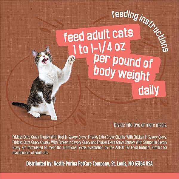 Purina Friskies Extra Gravy Wet Cat Food Chunky 24ct Variety Pack (With Chicken, Turkey, Salmon, Beef) - (Pack of 24) 5.5 oz. Cans - Image 9