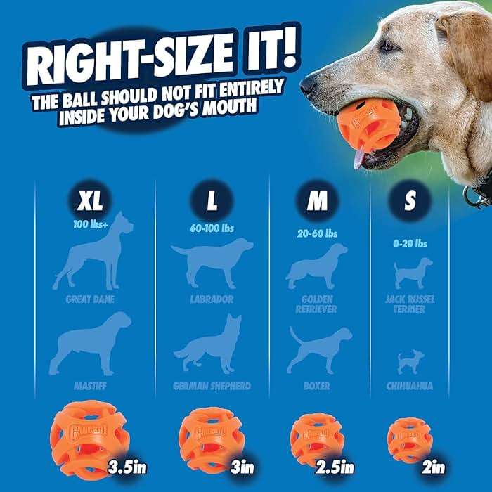 Chuckit! Air Fetch Ball Dog Toy, Medium (2.5 Inch Diameter), for dogs 20-60 lbs, Pack of 2 - Image 4
