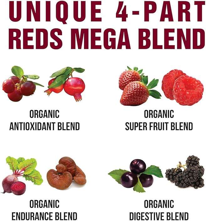 Peak Performance Organic Reds Superfood Powder, Best Tasting Red Juice Super Food w/ 25+ All Natural Ingredients & Polyphenols, Vital for Max Energy and Detox - Raspberry, Elderberry, Beetroot - Image 7