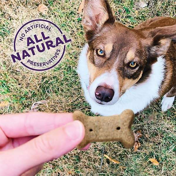 Wellness Old Mother Hubbard Classic Original Mix Dog Biscuits, Natural Training Treats, 4 Flavors, Small Size, 6 lb Bag - Image 3