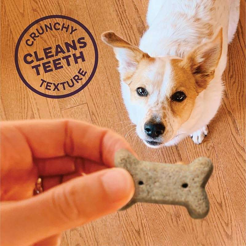 Wellness Old Mother Hubbard Classic Original Mix Dog Biscuits, Natural Training Treats, 4 Flavors, Small Size, 6 lb Bag - Image 5