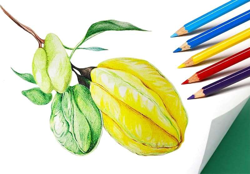 SKKSTATIONERY 144Pcs Colored Pencils, Pre-sharpened, coloring pencils Bulk Back to School Supplies For Teachers 12 Colors, 12pcs/box, Total: 144Pcs. - Image 6