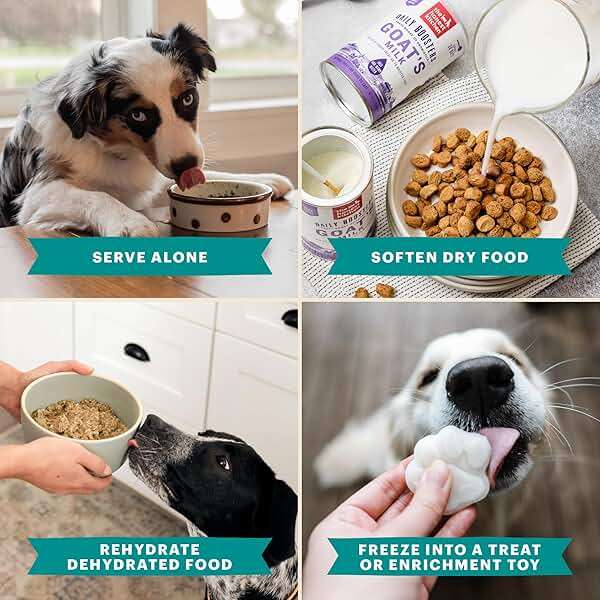The Honest Kitchen Human Grade Daily Boosts Instant Beef Bone Broth with Turmeric for Dogs 3.6 Ounces - Image 5