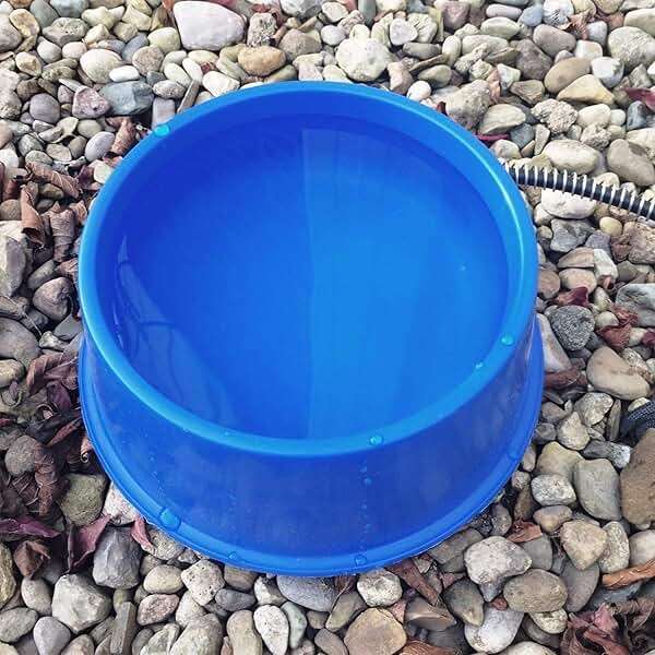 Farm Innovators 1 Quart Plastic Heated Pet Bowl with Anti Chew Cord and 25 Watts of Power for Rabbits, Dogs, Cats, and All Breed Sizes, Blue - Image 4