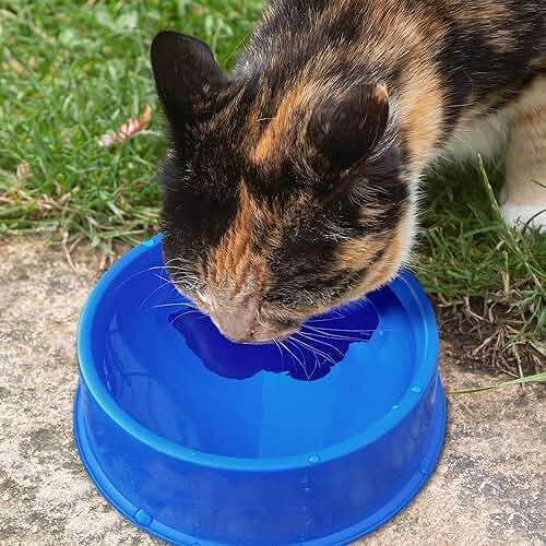 Farm Innovators 1 Quart Plastic Heated Pet Bowl with Anti Chew Cord and 25 Watts of Power for Rabbits, Dogs, Cats, and All Breed Sizes, Blue - Image 5