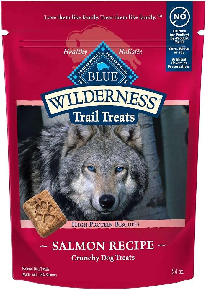 Blue Buffalo Wilderness Trail Treats Salmon Crunchy Dog Biscuits, Grain-Free & High-Protein, Bite-Sized Training Treats Made with Real Salmon & Natural Ingredients, 24-oz Bag - Image 1