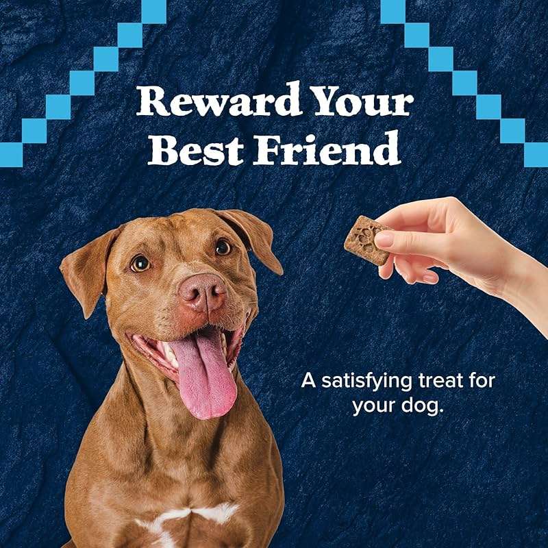 Blue Buffalo Wilderness Trail Treats Salmon Crunchy Dog Biscuits, Grain-Free & High-Protein, Bite-Sized Training Treats Made with Real Salmon & Natural Ingredients, 24-oz Bag - Image 3