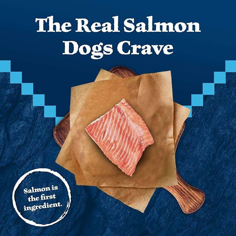 Blue Buffalo Wilderness Trail Treats Salmon Crunchy Dog Biscuits, Grain-Free & High-Protein, Bite-Sized Training Treats Made with Real Salmon & Natural Ingredients, 24-oz Bag - Image 4