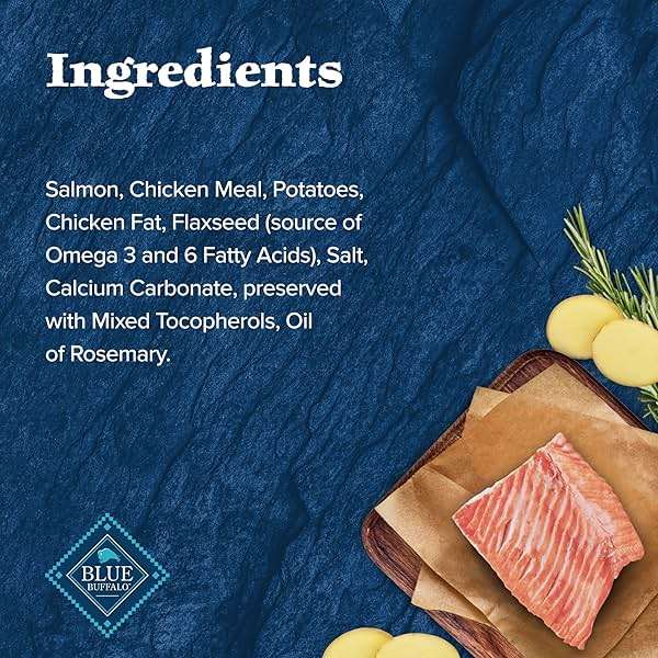 Blue Buffalo Wilderness Trail Treats Salmon Crunchy Dog Biscuits, Grain-Free & High-Protein, Bite-Sized Training Treats Made with Real Salmon & Natural Ingredients, 24-oz Bag - Image 5