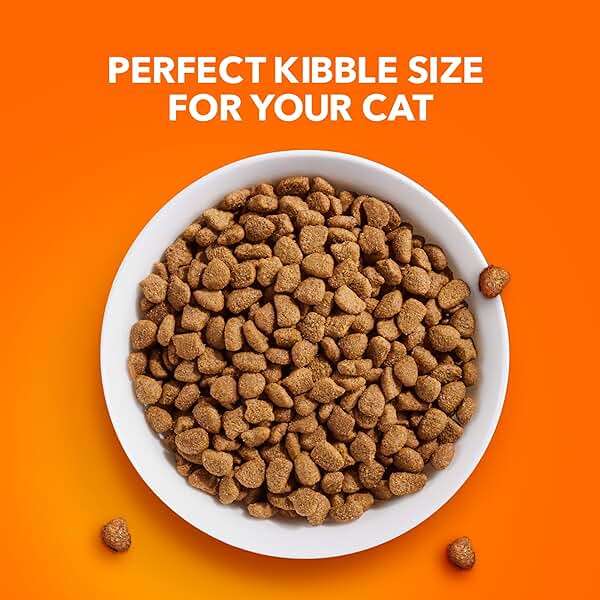 IAMS Proactive Health Dry Cat Food, Urinary Tract Health, Adult Cat Food Dry Recipe with Chicken, 7 lb. Bag - Image 11