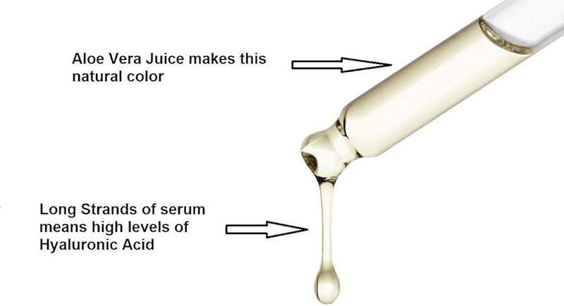 BioPureMED 25% Vitamin CE+Ferulic Acid Serum for Face: Anti Wrinkle Serum Retinol 22, Hyaluronic Acid Best Organic Korean Skin Care Vitamin C Serum/Face Moisturizer - Image 3