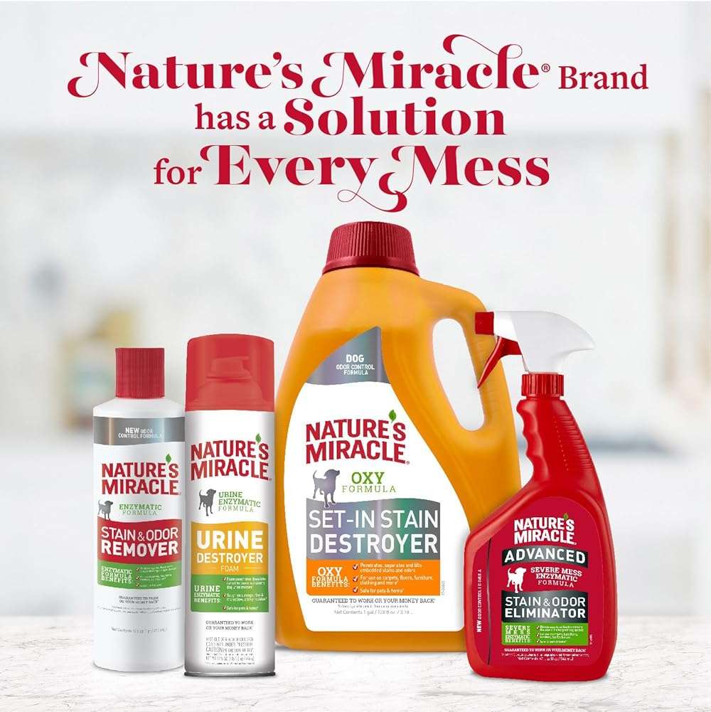 Nature's Miracle Dog Urine Destroyer, Dog Urine Stain Remover and Odor Control, White, 64 fl oz - Image 8