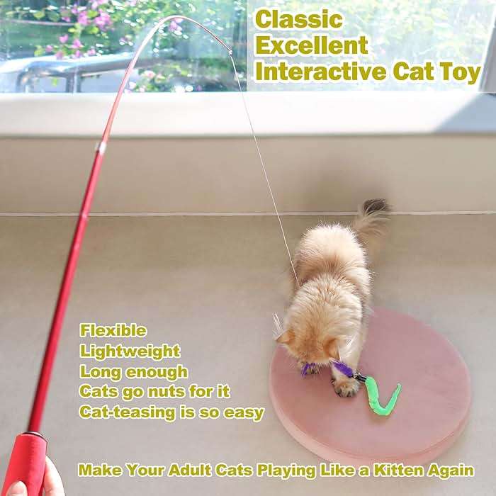 MeoHui Cat Toys for Indoor Cats, Interactive Cat Toy 2PCS Retractable Wand Toy and 9PCS Cat Feather Toys Refills, Funny Kitten Toys Cat Fishing Pole Toy for Bored Indoor Cats Chase and Exercise - Image 2