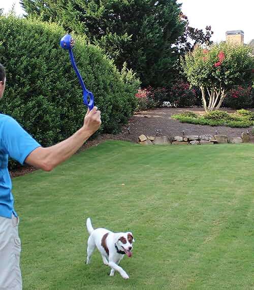 Launch-It Dog Ball Launcher with 4 Animal Print Squeaker Balls - Image 6
