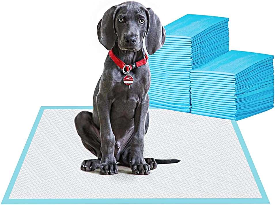 BESTLE Large Pet Training and Puppy Pads Pee Pad for Dogs 24"x24"-80 Count Super Absorbent & Leak-Proof - Image 1