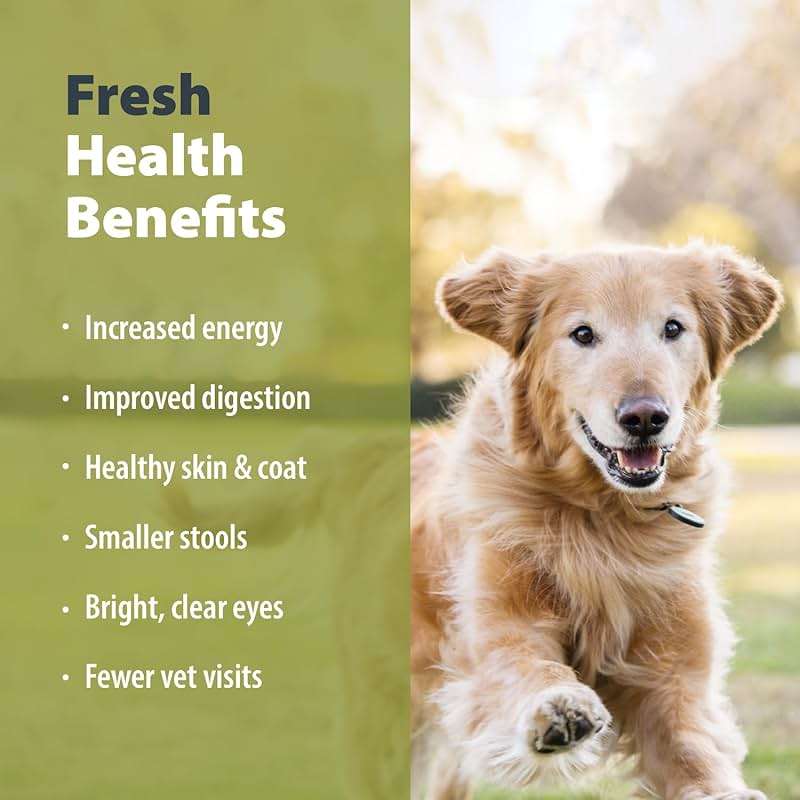 JustFoodForDogs Pantry Fresh Wet Dog Food, Complete Meal or Dog Food Topper, Chicken & White Rice Human Grade Dog Food Recipe - 12.5 oz (Pack of 12) - Image 3