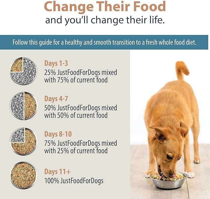 JustFoodForDogs Pantry Fresh Wet Dog Food, Complete Meal or Dog Food Topper, Chicken & White Rice Human Grade Dog Food Recipe - 12.5 oz (Pack of 12) - Image 9