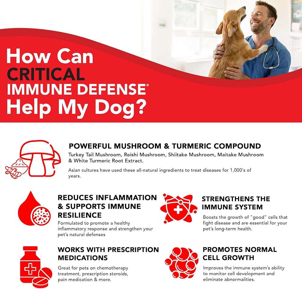 Critical Immune Defense for Dogs & Cats; Supports Normal Cell Growth - Turkey Tail, Reishi, Shiitake and Maitake Mushroom Formula with Patented White Turmeric Root Extract - 30-Day Supply - Image 7