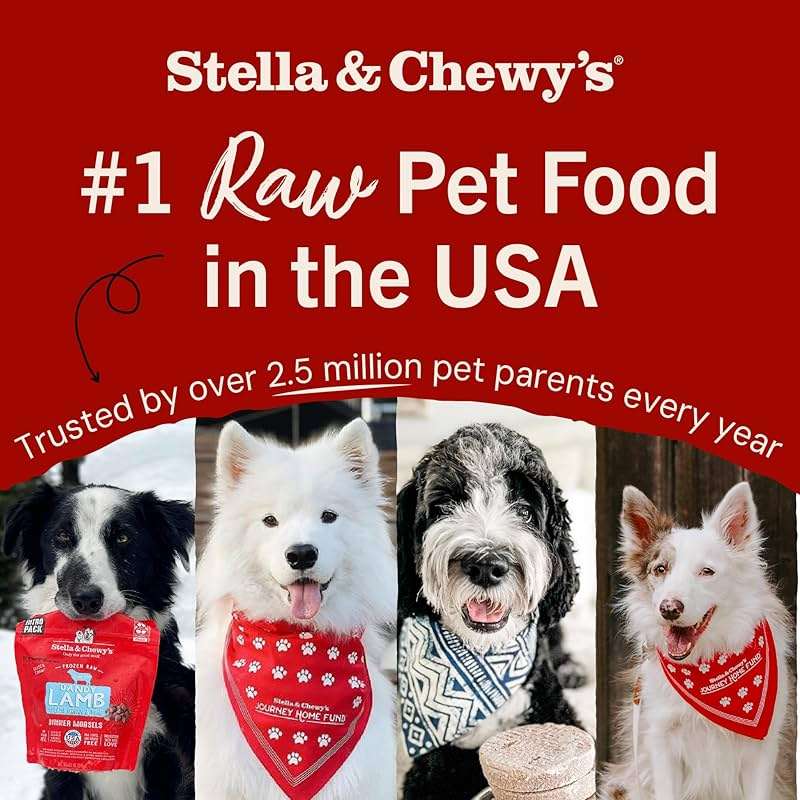 Stella & Chewy's Freeze-Dried Raw Beef Liver Dog Treats - Single Ingredient, No Additives - Premium Training Treats - Perfect For Picky Eaters - 3oz Bag - Image 6