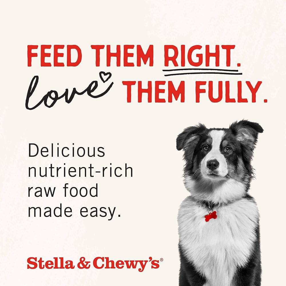 Stella & Chewy's Freeze-Dried Raw Beef Liver Dog Treats - Single Ingredient, No Additives - Premium Training Treats - Perfect For Picky Eaters - 3oz Bag - Image 9