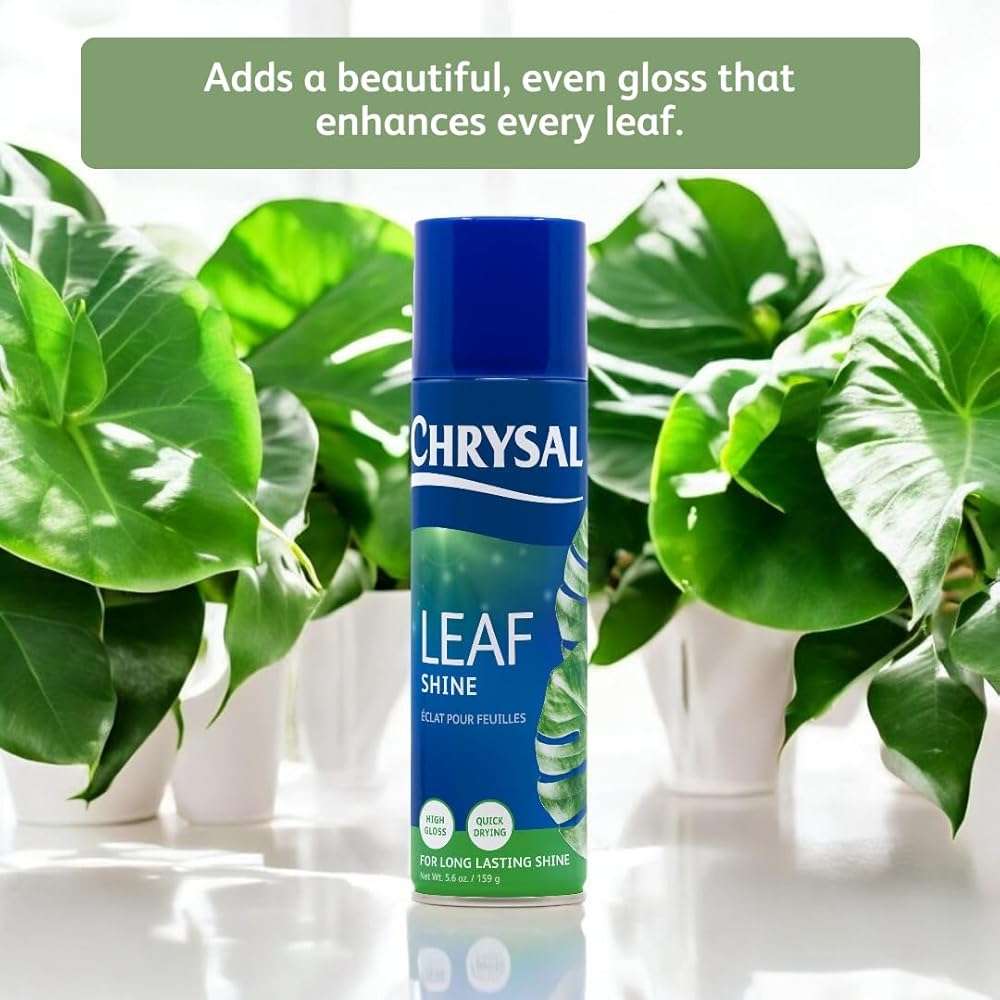 Chrysal LeafShine Spray for Indoor Plants - 5.6 oz (250 ml) - Image 3