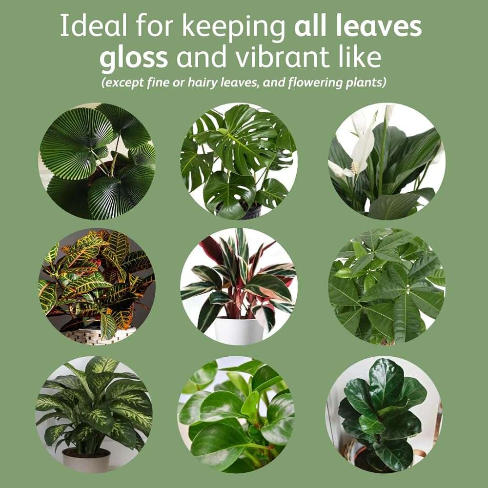 Chrysal LeafShine Spray for Indoor Plants - 5.6 oz (250 ml) - Image 4