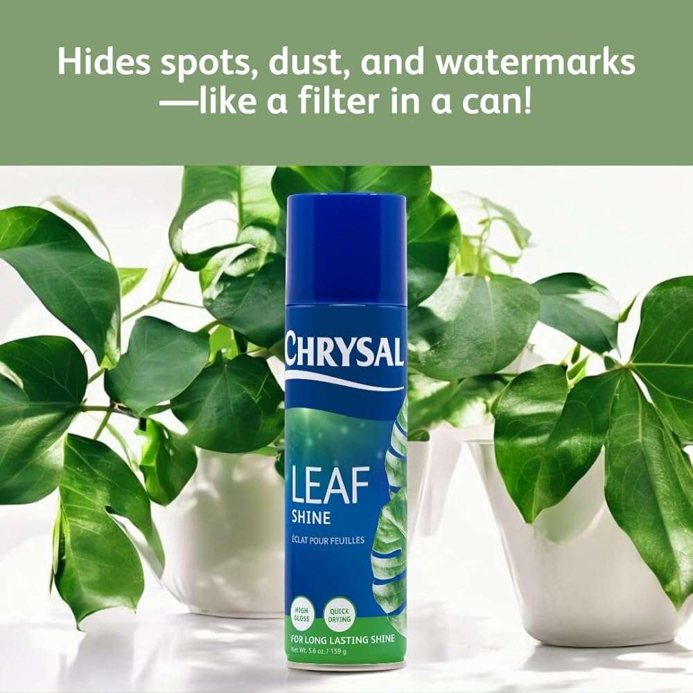 Chrysal LeafShine Spray for Indoor Plants - 5.6 oz (250 ml) - Image 5