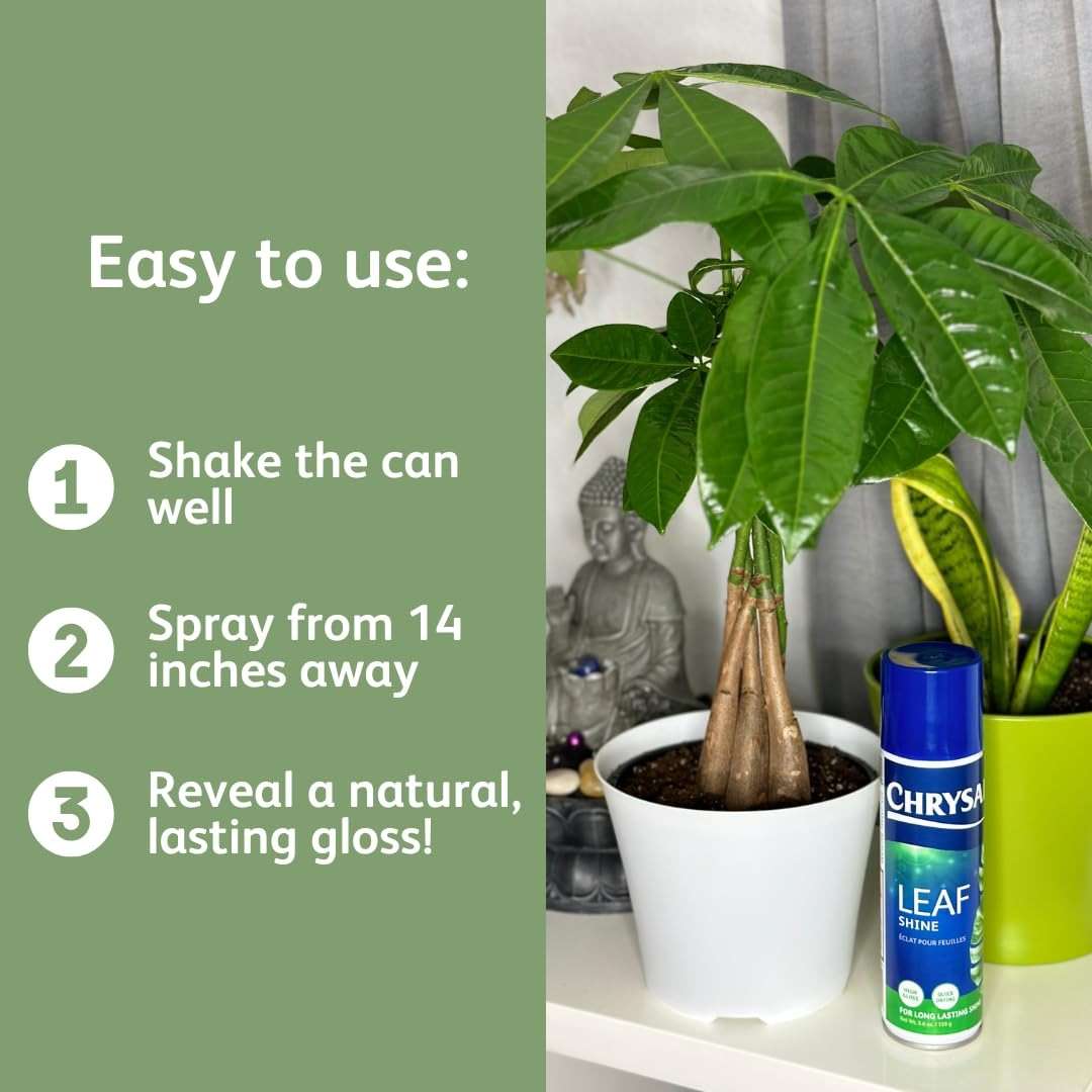 Chrysal LeafShine Spray for Indoor Plants - 5.6 oz (250 ml) - Image 6