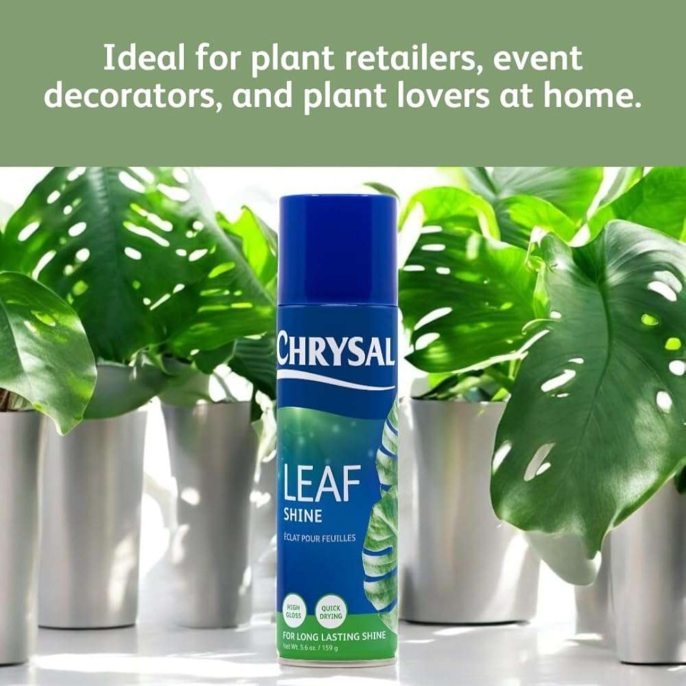 Chrysal LeafShine Spray for Indoor Plants - 5.6 oz (250 ml) - Image 7