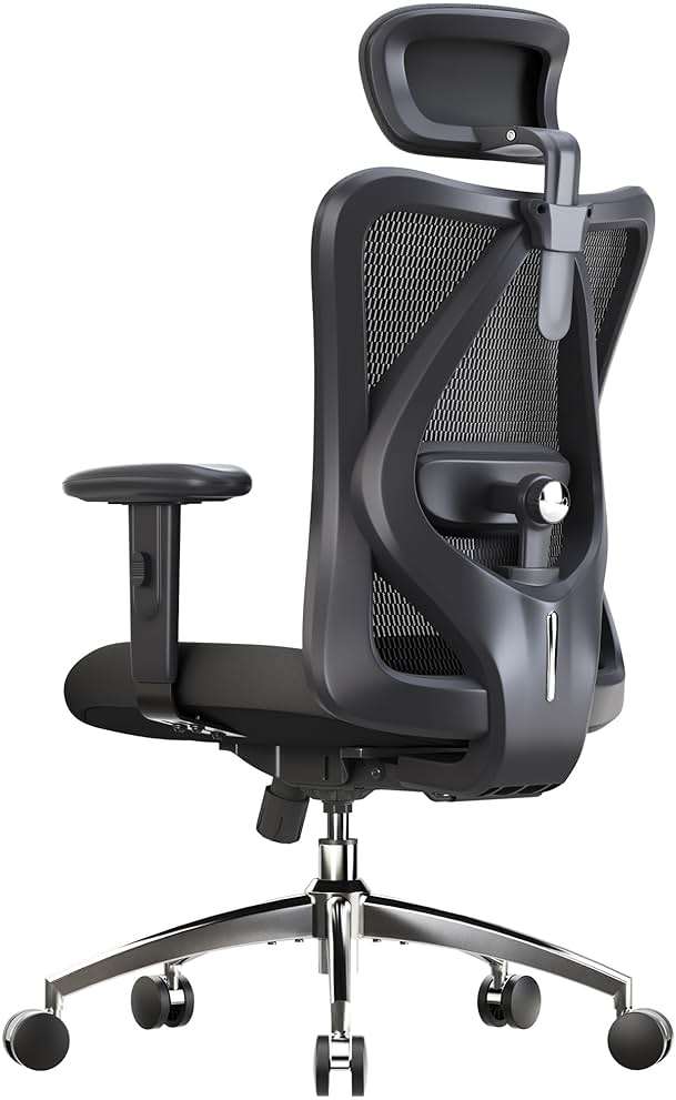 SIHOO M18 Ergonomic Office Chair, High Back Mesh Desk Chair with Adjustable Headrest & Lumbar Support, 330lbs Capacity Computer Chair with 2D Armrests & Wide Cushion, Tilt Lock, for Home Office-Black - Image 1