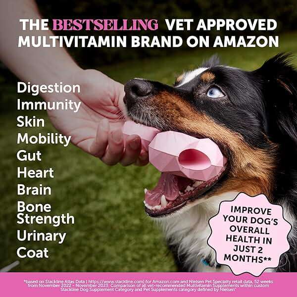 10-in-1 Dog Multivitamin Supplement with Glucosamine & Probiotics - Hip & Joint Support, Digestive Health, Immune Support, Heart & Skin - All-in-One Daily Vitamins & Omega-3s for Dogs (Chicken, 90 Ct) - Image 2
